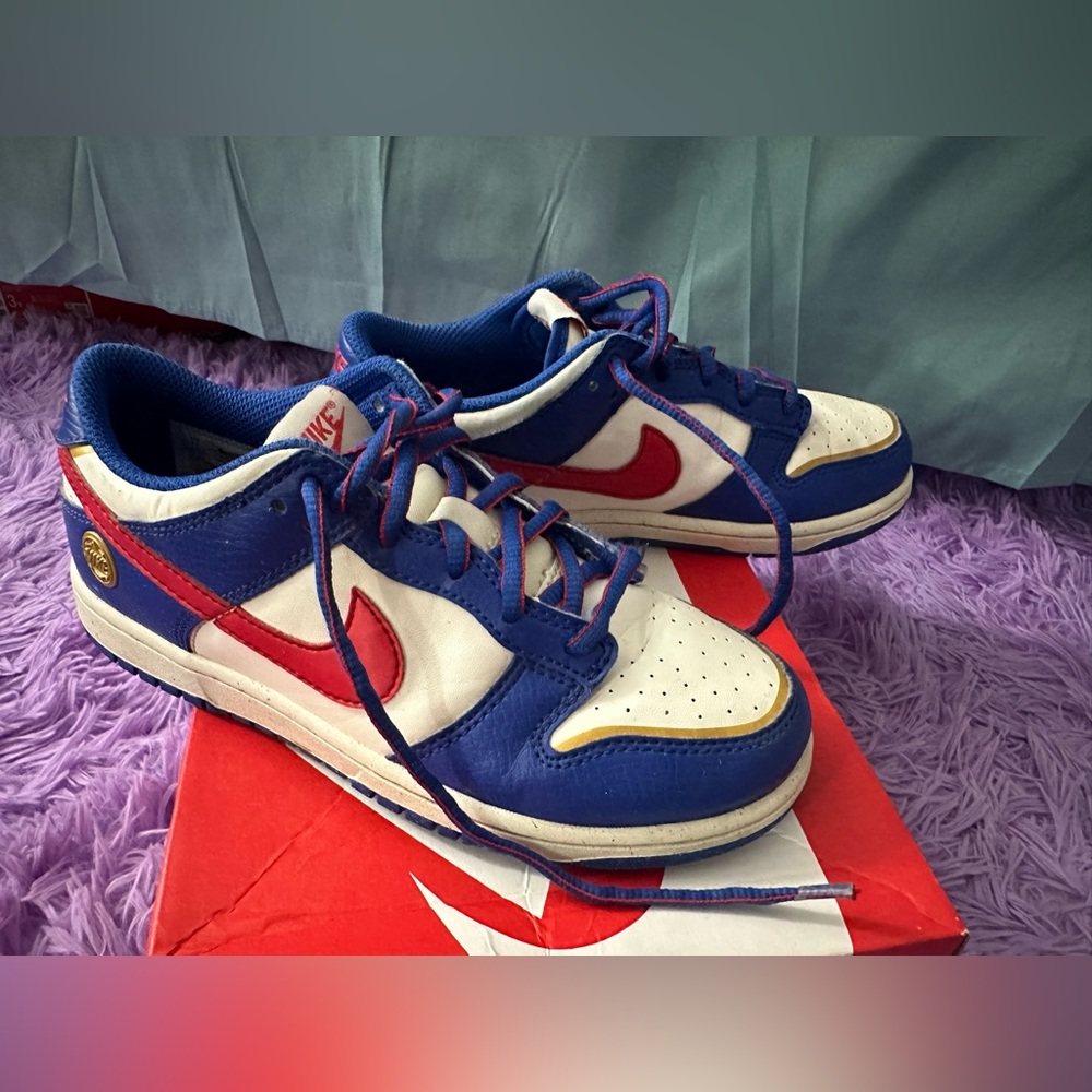 Used Kids Nike Dunks Low Next Nature TD ‘Superhero’